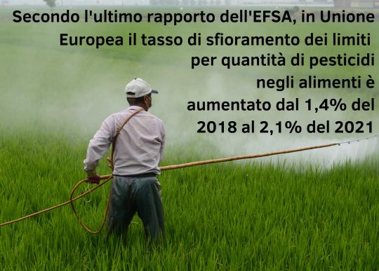 pesticidi rapporto efsa.png